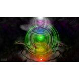 Garuda személyes energetizáló , polarizáló skaláris medál – Lakhovsky -Tesla MWO technológia, harmonizáló EMF és  5G védő, skaláris energia medál!