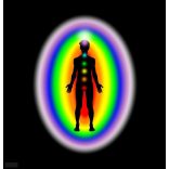 Garuda MWO Sungit EMF/5G pajzs medál – Lakhovsky -Tesla harmonizáló EMF védő, skaláris energia medál sungittal aranyozott !