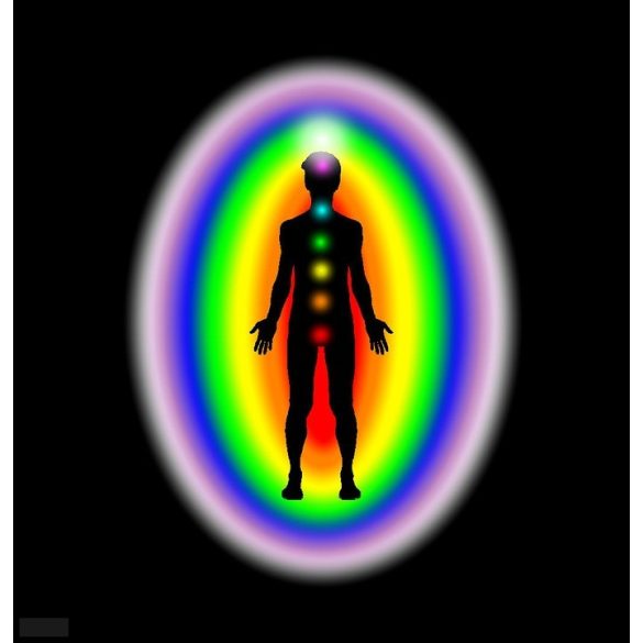 Garuda MWO Sungit EMF/5G pajzs medál – Lakhovsky -Tesla harmonizáló EMF védő, skaláris energia medál sungittal aranyozott !