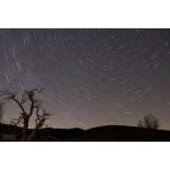 Garuda EMF/5G védő Sungit Piramis 6 cm, aranyozott Lakhovsky MWO harmonizáló koronggal