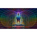 A Pajzs – Garuda  orgonit medál Sungit - Turmalin- Pirit-Hegyikristály-Szelenit