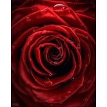 A talizmán lélegzete – Vörös Rózsa, ásvány karkötő 