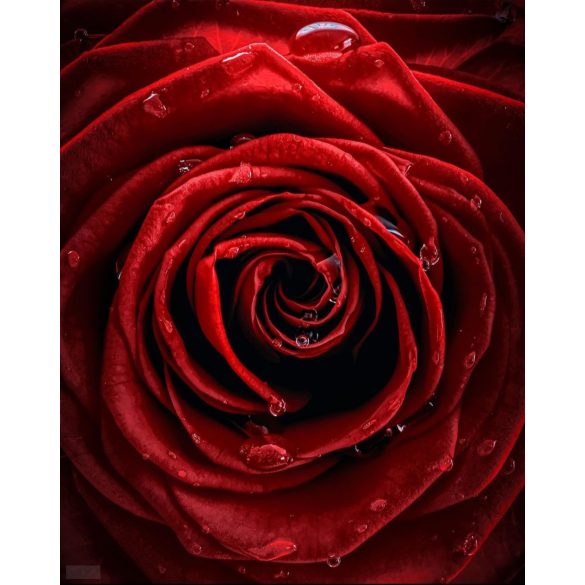 A talizmán lélegzete – Vörös Rózsa, ásvány karkötő 