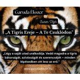 DZI Tigrisfog & Tigrisszem unisex karkötő – a valódi erő, siker és védelem szimbóluma